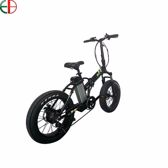 Mini bici elettrica pieghevole con motore a trazione posteriore da 48 V 500 W, e-bike pieghevole per crociera sulla neve all'aperto per avventure in montagna