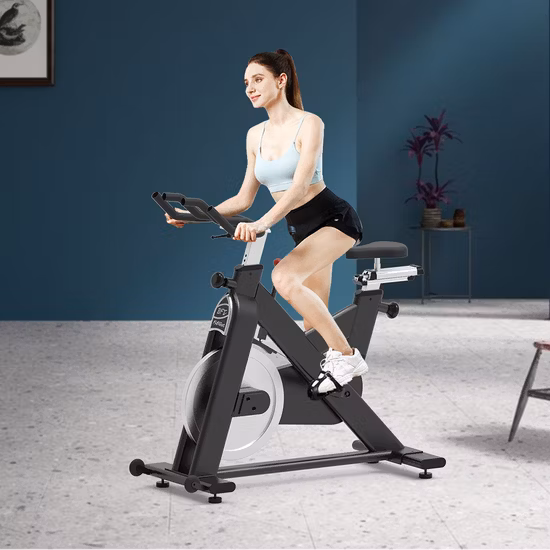 Mini bici da spinning magnetica per esercizi di fitness professionale, commerciale, Spin Bike per allenamento fitness a casa al coperto